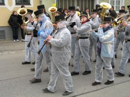 Narrentreiben 2011 (Fotos G. Obermann)