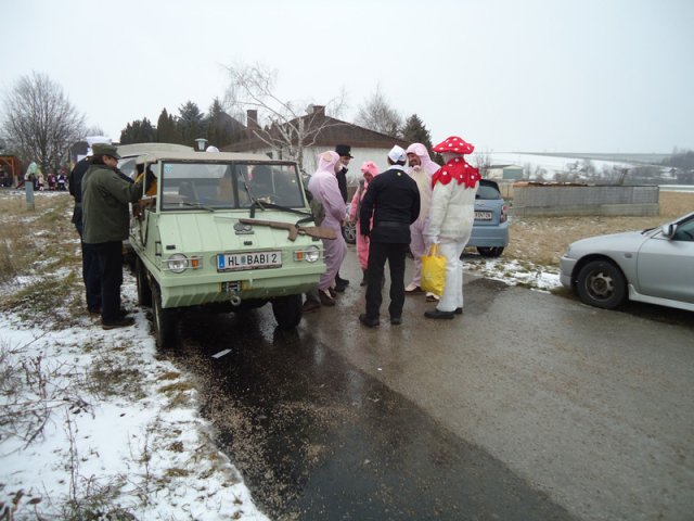 Narrentreiben 2013 (Fotos Franz Amon)