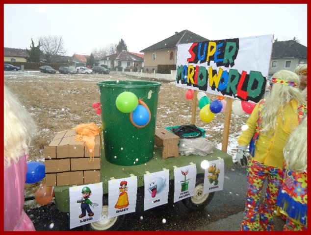 Narrentreiben 2013 (Fotos Franz Amon)