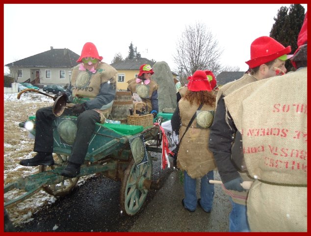 Narrentreiben 2013 (Fotos Franz Amon)