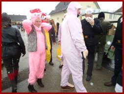 Narrentreiben 2013 (Fotos Franz Amon)