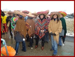 Narrentreiben 2013 (Fotos Franz Amon)