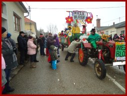 Narrentreiben 2013 (Fotos Franz Amon)