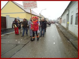 Narrentreiben 2013 (Fotos Franz Amon)