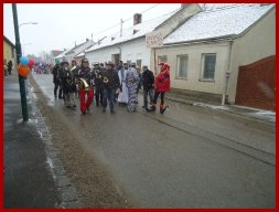 Narrentreiben 2013 (Fotos Franz Amon)