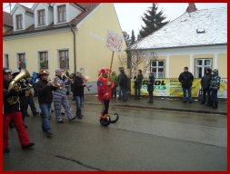 Narrentreiben 2013 (Fotos Franz Amon)