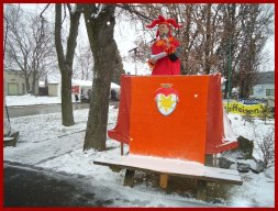 Narrentreiben 2013 (Fotos Franz Amon)