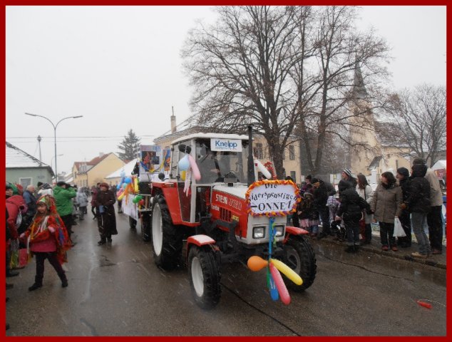 Narrentreiben 2013 (Fotos Robert Bayer)