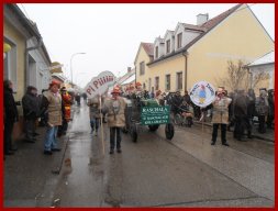 Narrentreiben 2013 (Fotos Robert Bayer)