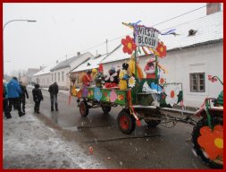 Narrentreiben 2013 (Fotos Robert Bayer)